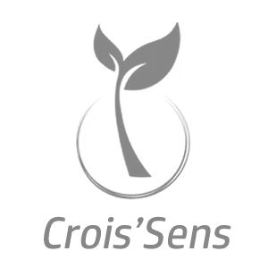 logo client cs conseil.fw